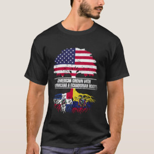 Amerikanisch angebaut mit Flaggen-Herkunft Dominik T-Shirt
