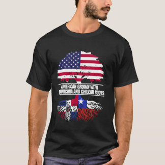 Amerikanisch angebaut mit Flaggen-Herkunft Dominik T-Shirt