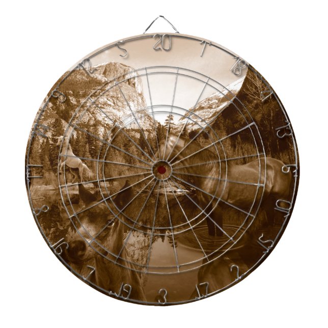 amerikanisch dartscheibe (vorne)