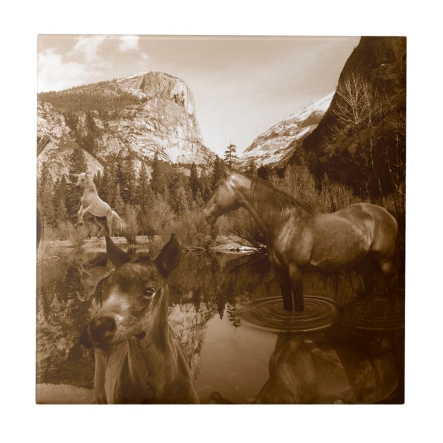 amerikanisch fliese (Vorderseite)