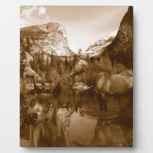 amerikanisch fotoplatte