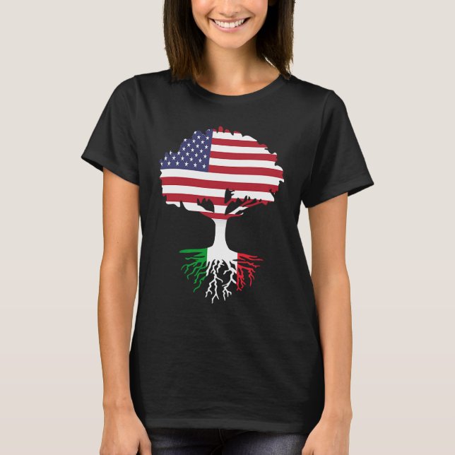 Amerikanisch geboren italienische Wurzeln in Ameri T-Shirt (Vorderseite)