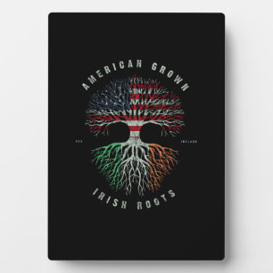 Amerikanisch gewachsene irische Wurzeln Irland Fla Fotoplatte