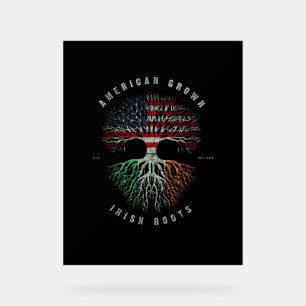 Amerikanisch Irish Roots Irland Flagge Vintage Gr Acrylschild