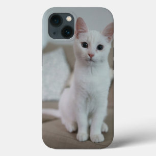 Amerikanisch Kurzhaar Katze weiß Case-Mate iPhone Hülle