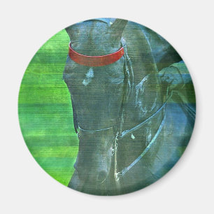 Amerikanisch Saddlebred Magnet