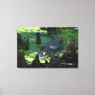 Amerikanische Alligatorin im Foto der Sümpfe der K Leinwanddruck