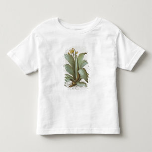 Amerikanische Aloe: Aloe Americana, vom 'Hortus Ey Kleinkind T-shirt