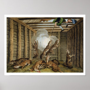 Amerikanische Anekdote: Wölfe schießen, graviert v Poster