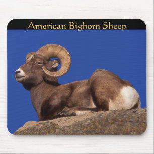 Amerikanische Bighorn-Schafe Mousepad