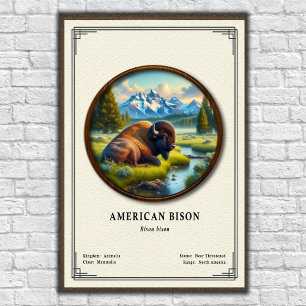 Amerikanische Bison-Zoologie-Serie Poster