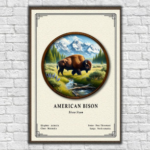 Amerikanische Bison-Zoologie-Serie Poster