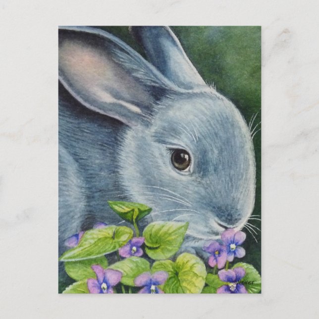 Amerikanische Blaue Kaninchen in Violets Wasserfar Postkarte (Vorderseite)