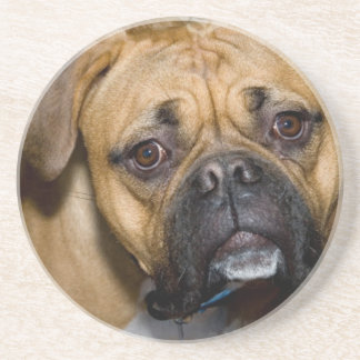 Amerikanische Boxer-HundeUntersetzer Getränkeuntersetzer