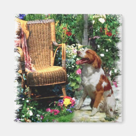 Amerikanische Bretagne Spaniel Kunstgeschenke Magnet
