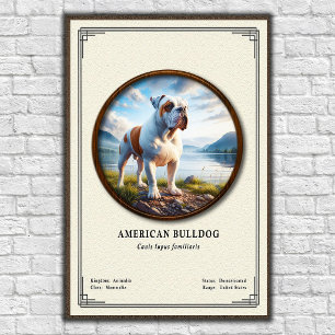 Amerikanische Bulldogge Zoologie-Serie Poster