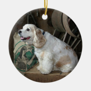 Amerikanische Cocker Spaniel Sitzgruppe Keramik Ornament