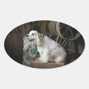 Amerikanische Cocker Spaniel Sitzgruppe Ovaler Aufkleber