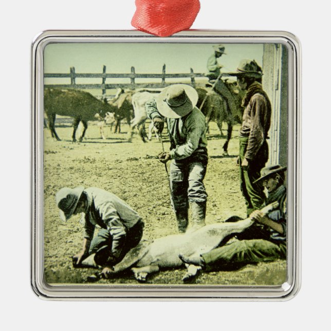 Amerikanische Cowboys, die ein Kalb, c.1900 (Foto, Ornament Aus Metall (Vorne)