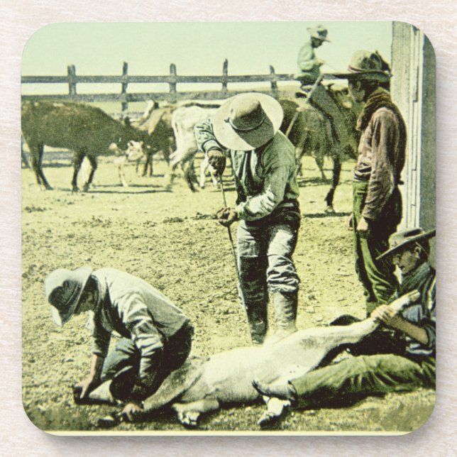 Amerikanische Cowboys, die ein Kalb, c.1900 (Foto, Untersetzer (Vorderseite)