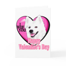 Amerikanische EskimohundeValentinsgrüße