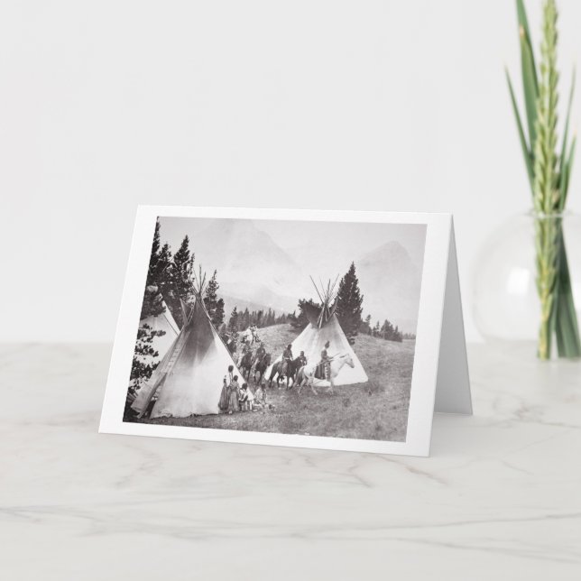 Amerikanische Fernkäfige, Montana, c.1900 (b/w) Karte (Vorderseite)