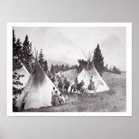 Amerikanische Fernkäfige, Montana, c.1900 (b/w)
