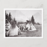 Amerikanische Fernkäfige, Montana, c.1900 (b/w)