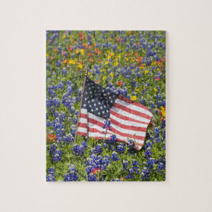 Amerikanische Flagge auf einem Feld aus blauen Moh Puzzle