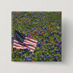 Amerikanische Flagge auf einem Feld mit blauen Bon Button