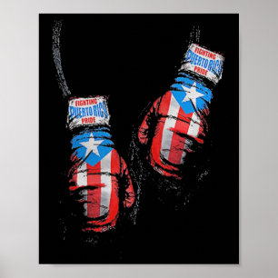 Amerikanische Flagge Boxing US Gloves Gym Boxer Fi Poster