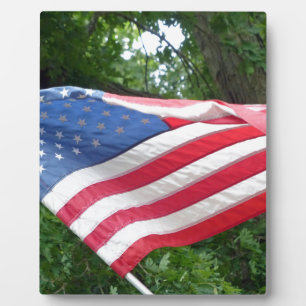 Amerikanische Flagge Fotoplatte