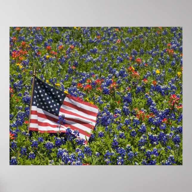 Amerikanische Flagge im Bereich der Blue Bonnets 2 Poster (Vorne)