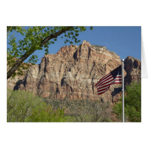 Amerikanische Flagge im Zion National Park I