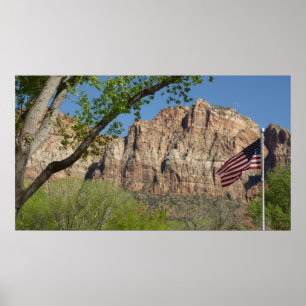 Amerikanische Flagge im Zion National Park I Poster