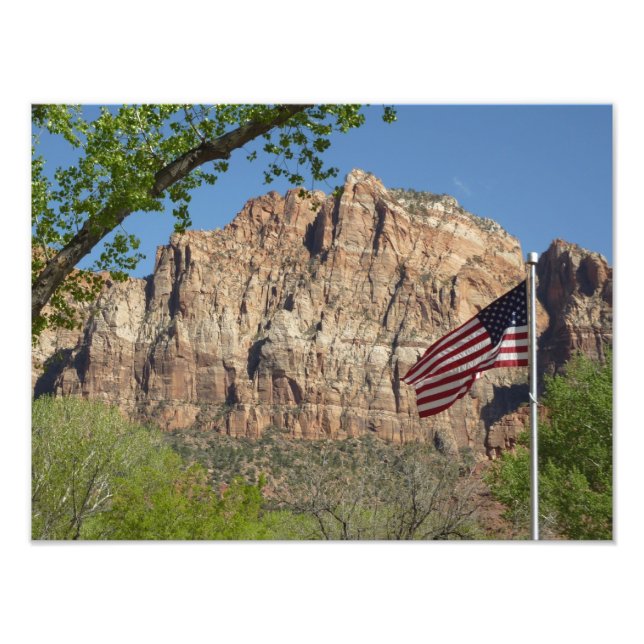 Amerikanische Flagge im Zion-Nationalpark I Fotodruck (Vorne)