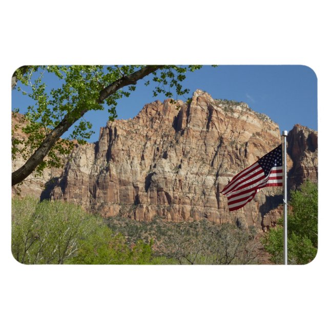 Amerikanische Flagge im Zion-Nationalpark I Magnet (Horizontal)