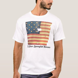 Amerikanische Flagge mit 15 Sternen - Stern T-Shirt