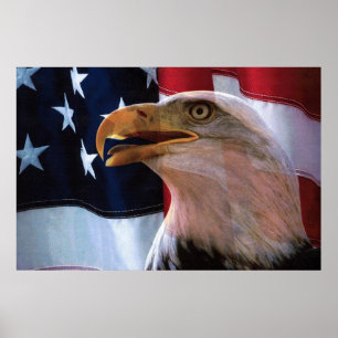 Amerikanische Flagge mit Bald-Adler Poster