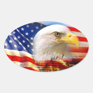 Amerikanische Flagge mit Bald Eagle Stucker Ovaler Aufkleber