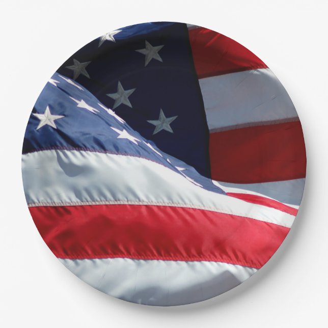 Amerikanische Flagge Pappteller (Vorderseite)