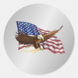 Amerikanische Flagge und Adlersilber Runder Aufkleber