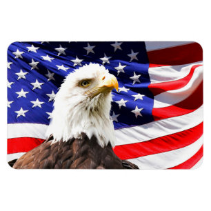 Amerikanische Flagge und Bald-Adler Magnet