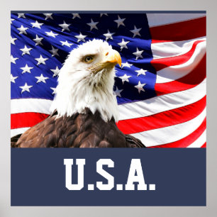 Amerikanische Flagge und Bald-Adler Poster