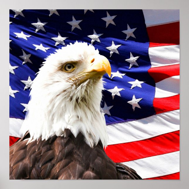 Amerikanische Flagge und Bald-Adler Poster (Vorne)