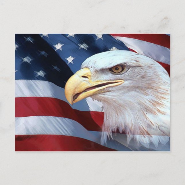Amerikanische Flagge und Bald-Adler Postkarte (Vorderseite)