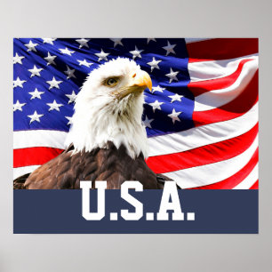Amerikanische Flagge und Weißkopfseeadler Poster