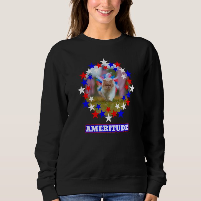 Amerikanische Flagge USA Phantastische Katzenhöhe Sweatshirt (Vorderseite)