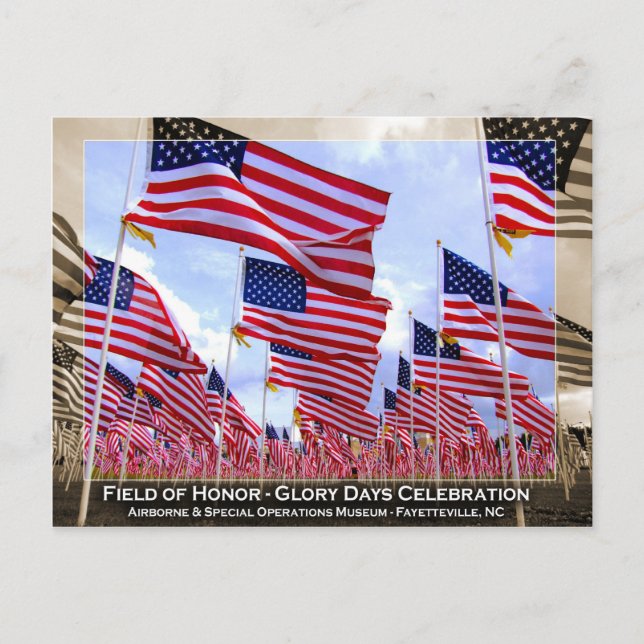 Amerikanische Flaggen Postkarte (Vorderseite)