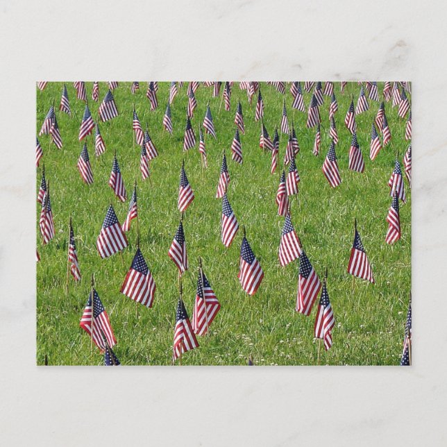 Amerikanische Flaggen Postkarte (Vorderseite)